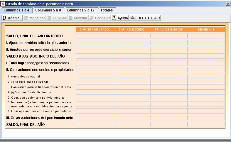 Balance por conceptos: Estado de cambios patrimonio neto