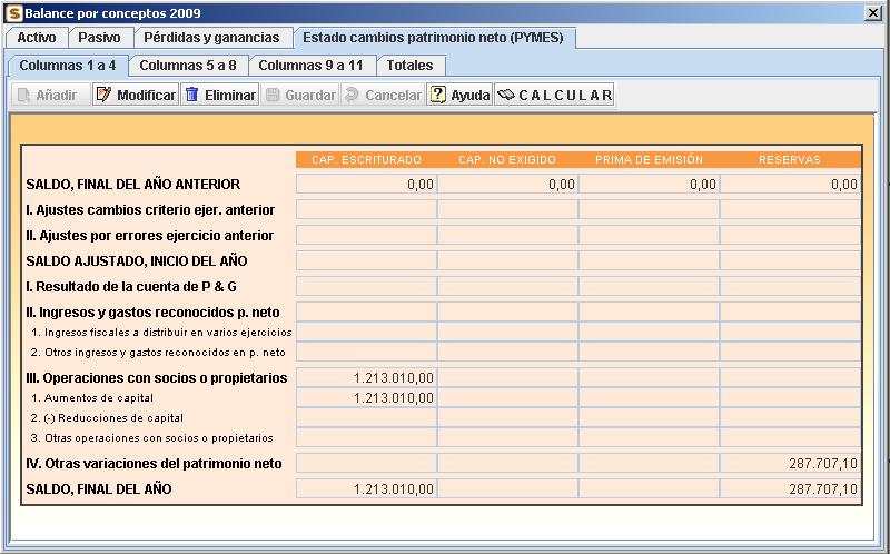 Balance por conceptos: Estado de cambios patrimonio neto (PYME)